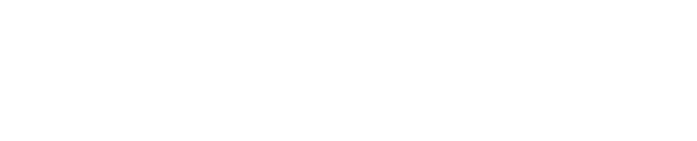 Stadt Zürich Logo