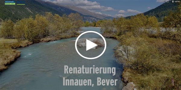 Renaturierung Innauen, Bever