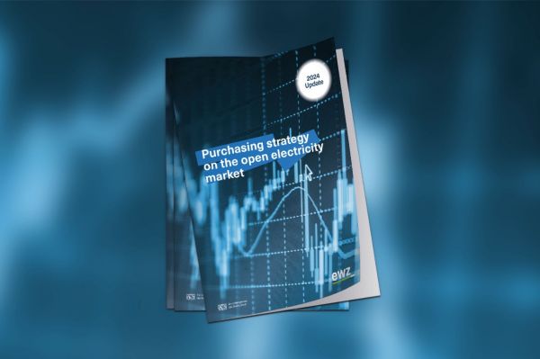 Whitepaper "Purchasing Strategy in the Open Electricity Market"